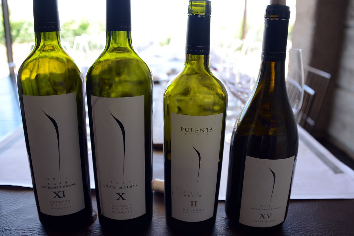 07-20 Wine Bottles Of Our Wine Tasting At Pulenta Estate On Lujan de Cuyo Wine Tour Near Mendoza